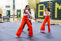 North Plainfield Guard_260411_Brick Memorial HS-ms02951