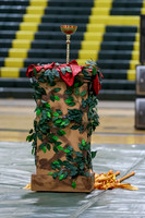 Southern Regional Guard_260411_Brick Memorial HS-ms03961