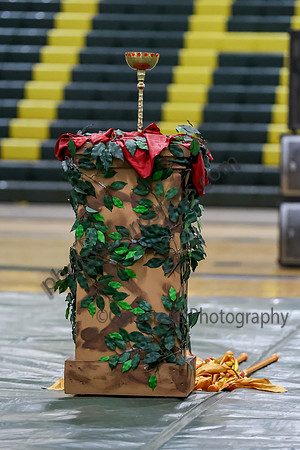 Southern Regional Guard_260411_Brick Memorial HS-ms03961