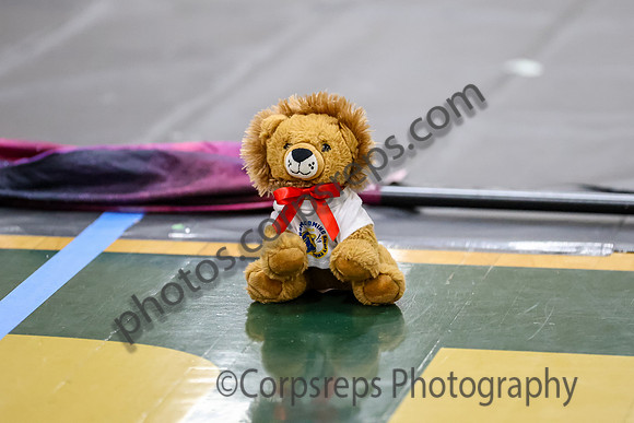 TCNJ Independent Guard_260411_Brick Memorial HS-ms04098