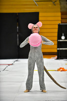 Pennridge HS_260411_Boyertown Area-DJK01564