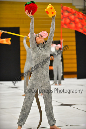 Pennridge HS_260411_Boyertown Area-DJK01576