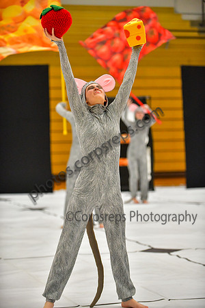 Pennridge HS_260411_Boyertown Area-DJK01577