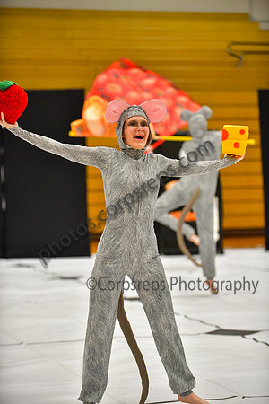 Pennridge HS_260411_Boyertown Area-DJK01578