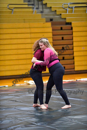 Parkland HS_260411_Boyertown Area-DJK01782
