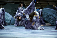 Fair Lawn Guard_260419_Bethlehem-CM03007