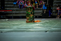 Southern Regional Guard