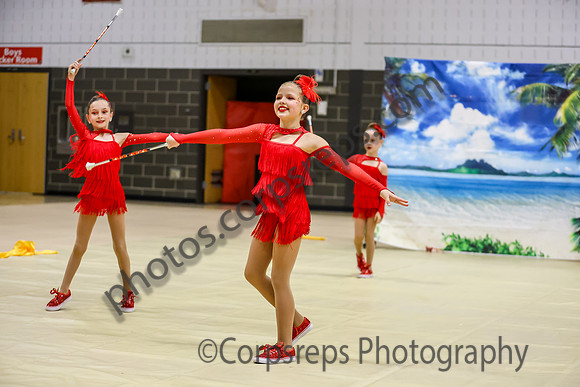 Revolution Cadet Twirlers_260418_Parkland HS-ms03980