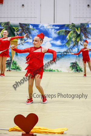 Revolution Cadet Twirlers_260418_Parkland HS-ms03972