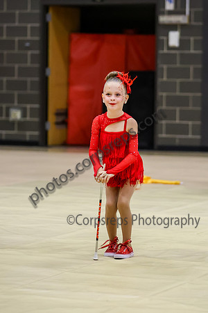 Revolution Cadet Twirlers_260418_Parkland HS-ms03958
