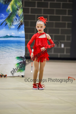 Revolution Cadet Twirlers_260418_Parkland HS-ms03965