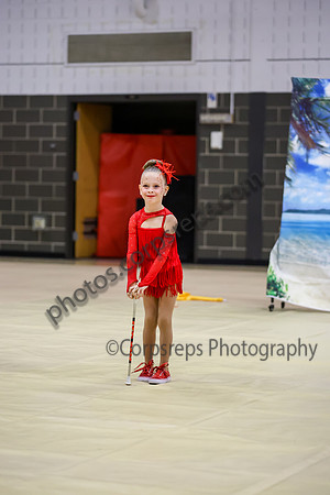 Revolution Cadet Twirlers_260418_Parkland HS-ms03959
