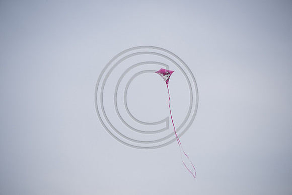 Let's go fly a kite_150430_Wildwood-1882