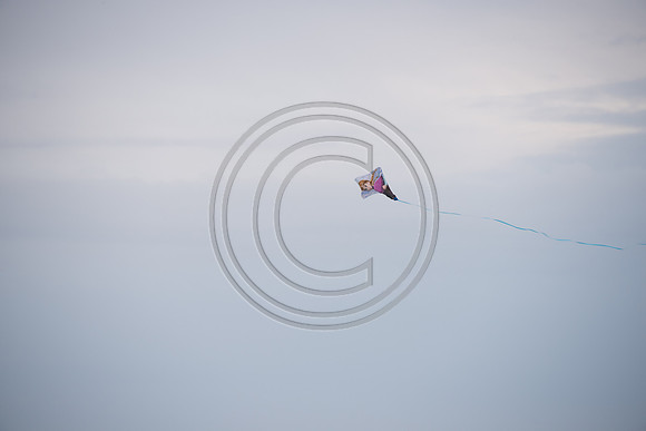 Let's go fly a kite_150430_Wildwood-1880
