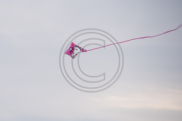 Let's go fly a kite_150430_Wildwood-1879