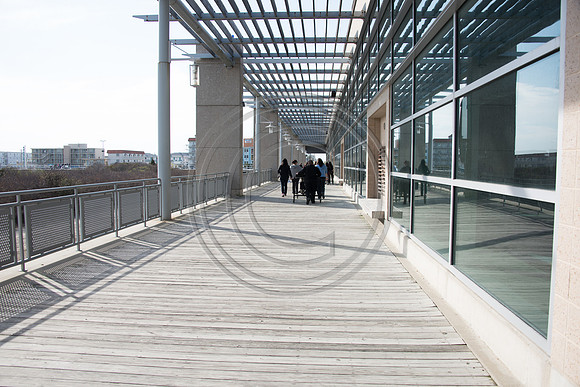 _150430_Wildwood-1821