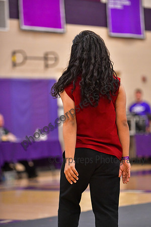 JP McCaskey HS Guard_260425_Region 6 Championships-DJK01099