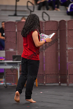 JP McCaskey HS Guard_260425_Region 6 Championships-DJK01114