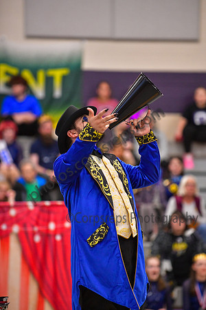 Freedom Senior Guard_260425_Region 6 Championships-DJK02492