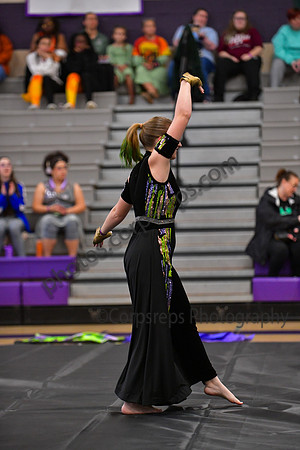 Spring Grove HS Guard_260425_Region 6 Championships-DJK02031