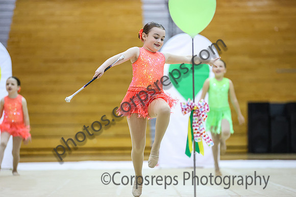 Emerge Cadet Twirlers_260425_Souderton HS-ms00565