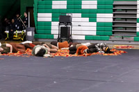 Wayne Valley Guard_260426_South Plainfield-JSB01335