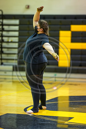 Guard Performances-2100