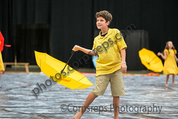 Synergy Guard_260501_Wildwood-CM01708