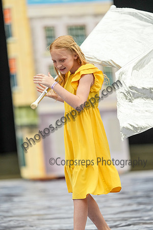Synergy Guard_260501_Wildwood-CM01717