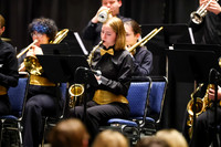 Bald Eagle Area Jazz_260501_Wildwood-jb00082