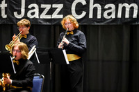 Bald Eagle Area Jazz_260501_Wildwood-jb00085