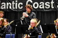 Bald Eagle Area Jazz_260501_Wildwood-jb00086