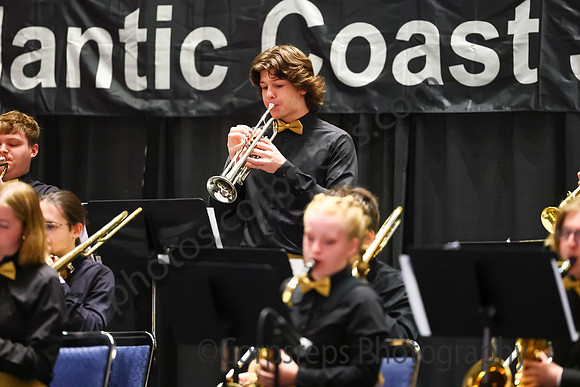 Bald Eagle Area Jazz_260501_Wildwood-jb00086