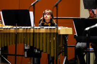 Bald Eagle Area Jazz_260501_Wildwood-jb00097