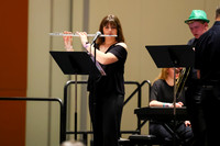 Southern Tioga Jazz_260501_Wildwood-jb00272