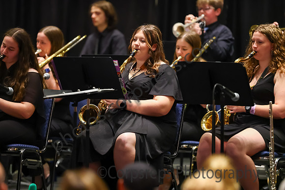 Southern Tioga Jazz_260501_Wildwood-jb00276