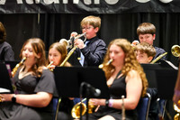 Southern Tioga Jazz_260501_Wildwood-jb00289