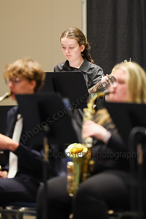 Southern Tioga Jazz_260501_Wildwood-jb00301