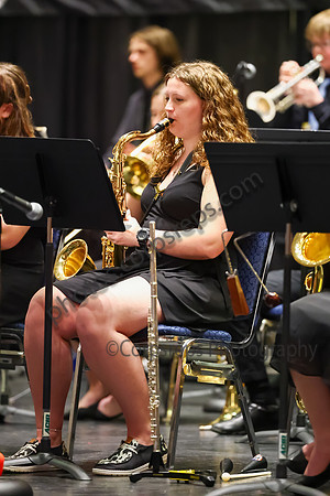 Southern Tioga Jazz_260501_Wildwood-jb00302