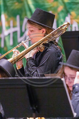 Bald Eagle Area Jazz_220429_Wildwood-4649