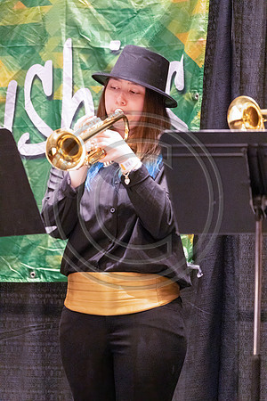Bald Eagle Area Jazz_220429_Wildwood-4653