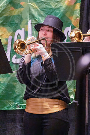 Bald Eagle Area Jazz_220429_Wildwood-4626
