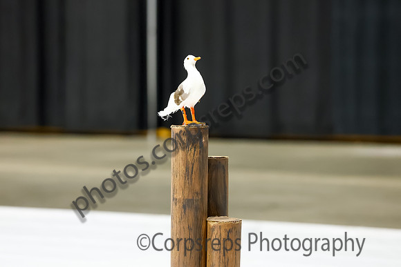 Starlite Twirlers_260425_Kovalchick Convention Center-jb01645