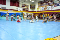 High Voltage Senior Guard-785