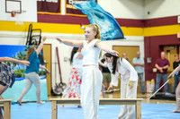 High Voltage Senior Guard-789