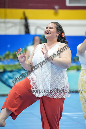High Voltage Senior Guard-801