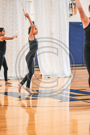 Fast Forward Regional Twirlers_240120_Mount Lebanon-00239