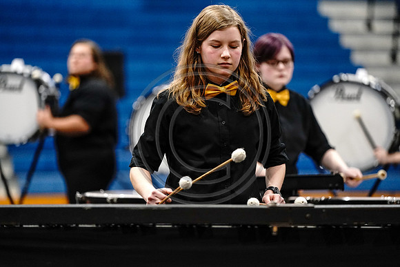 Biglerville Percussion_200229_Lower Dauphin-903840