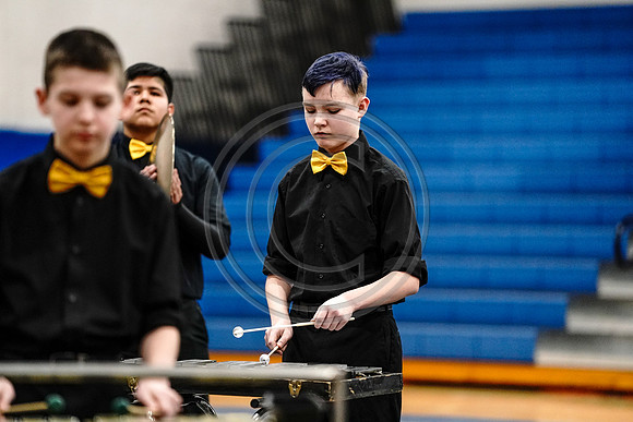Biglerville Percussion_200229_Lower Dauphin-903856