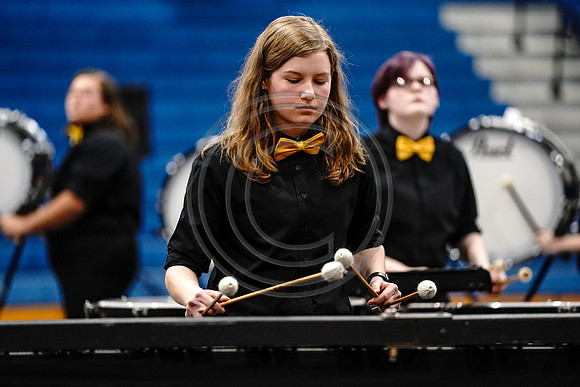 Biglerville Percussion_200229_Lower Dauphin-903844